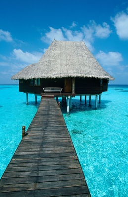 Maldives - Dunikolu Island - Coco Palm Resort