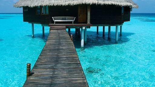 Maldives - Dunikolu Island - Coco Palm Resort