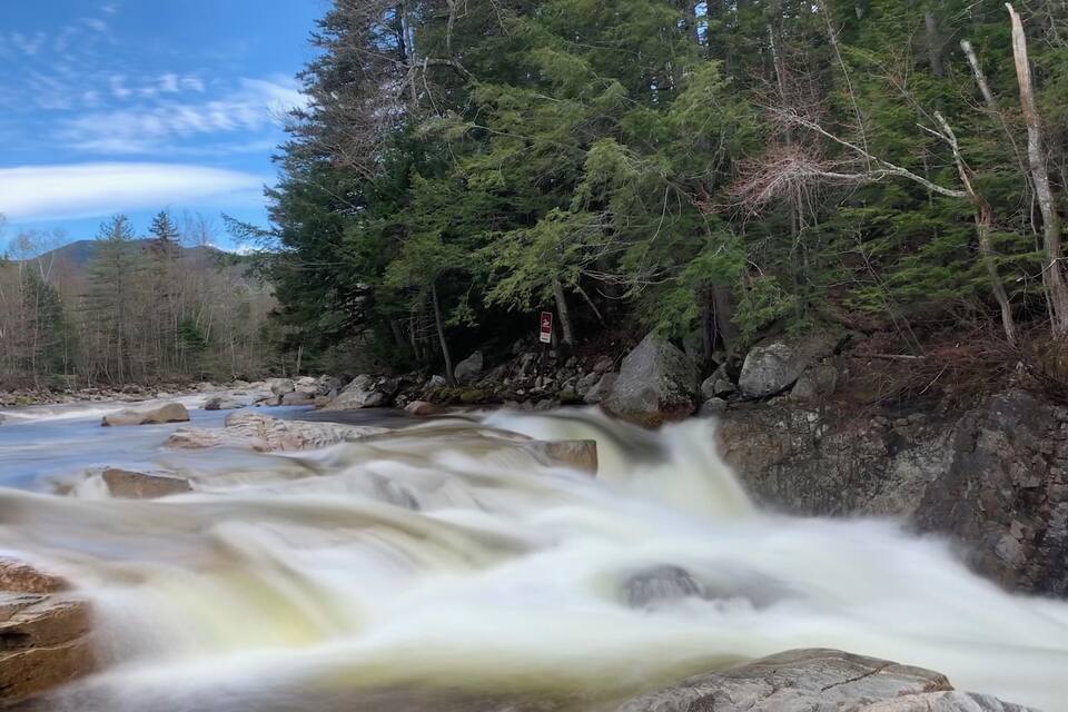 A fast-flowing river with rocks, surrounded by dense forest and a clear blue sky.