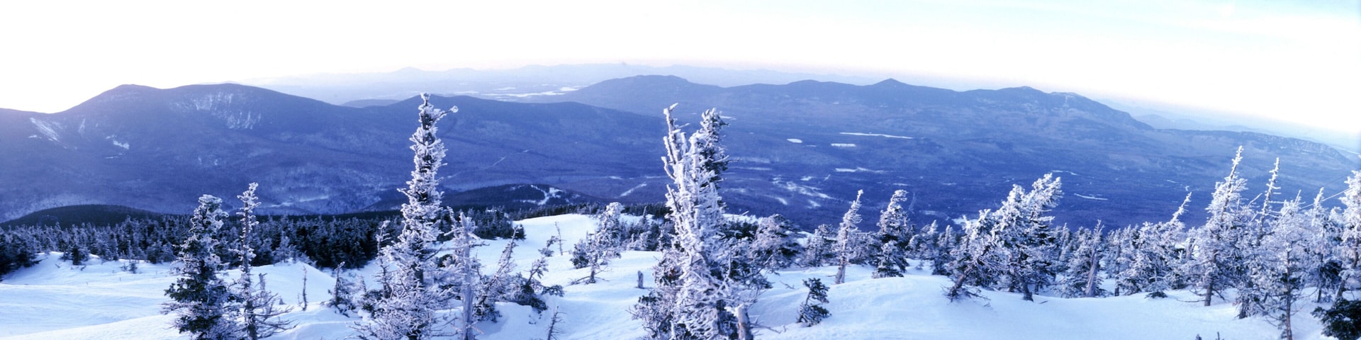 A snow-covered mountain landscape with evergreen trees.