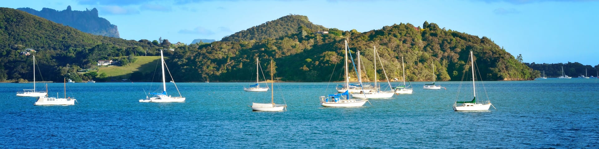 Beautiful summer evening at Parua Bay. Leisure boats scattered on azure water