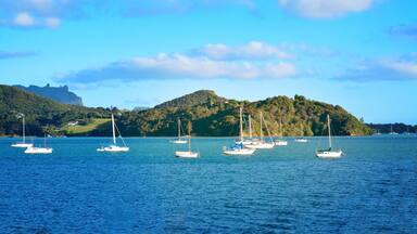 A calm lake with several sailboats, surrounded by lush green hills and a distant castle.