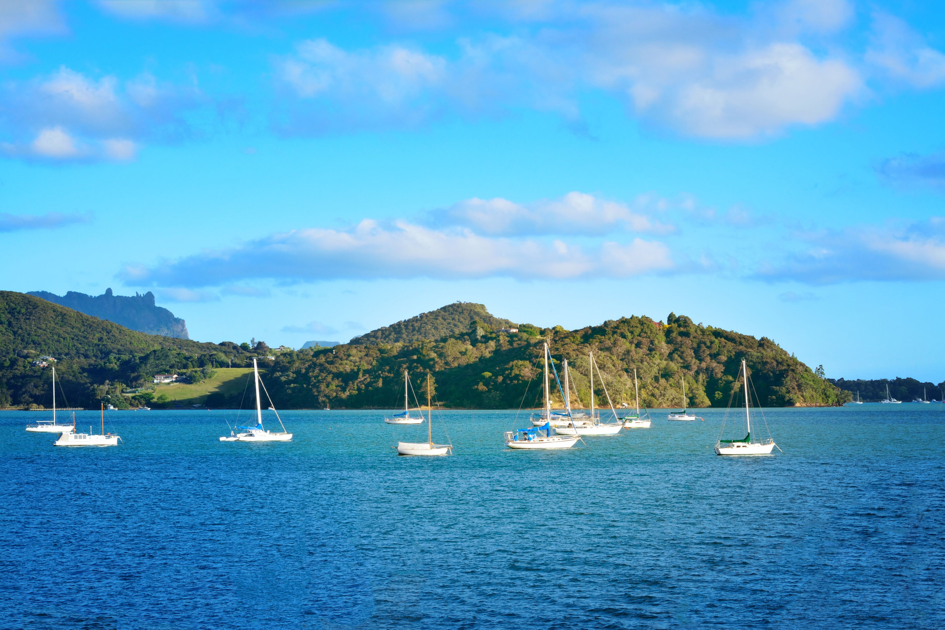 A calm lake with several sailboats, surrounded by lush green hills and a distant castle.