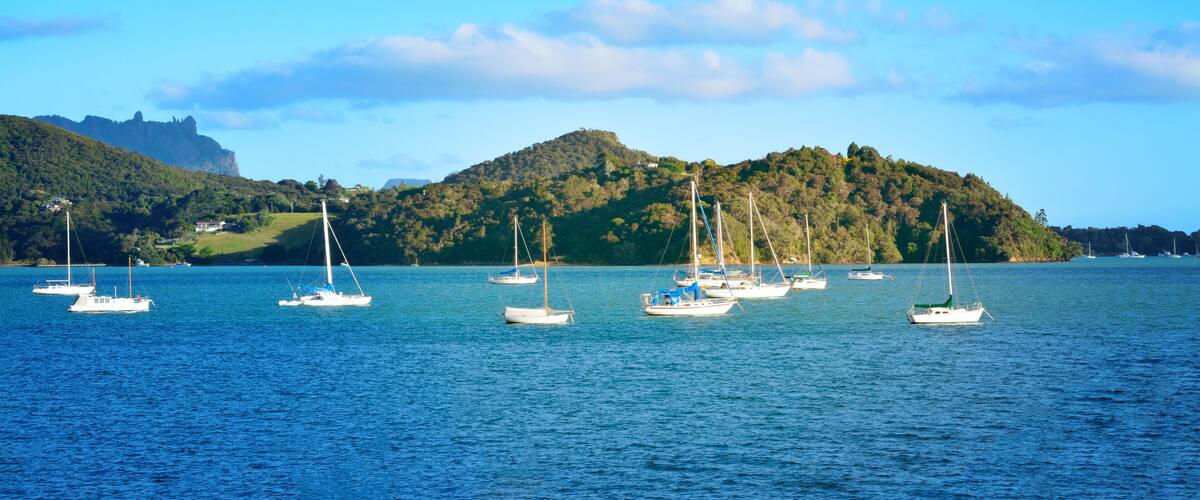 A calm lake with several sailboats, surrounded by lush green hills and a distant castle.