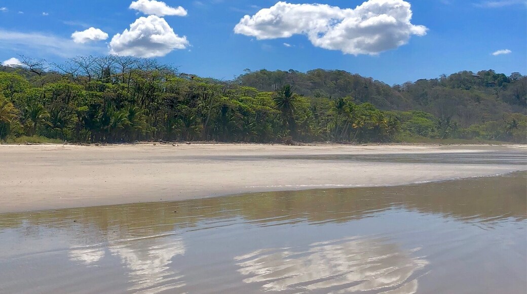 A beautiful Easter morning at Playa Hermosa. This beach north of Santa Teresa is spectacular!