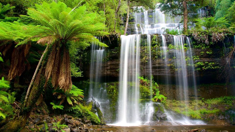 A multi-tiered waterfall surrounded by lush green ferns and trees.