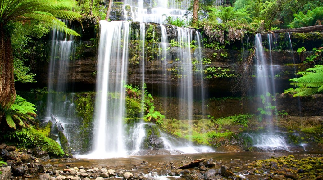 Mt. Field National Park