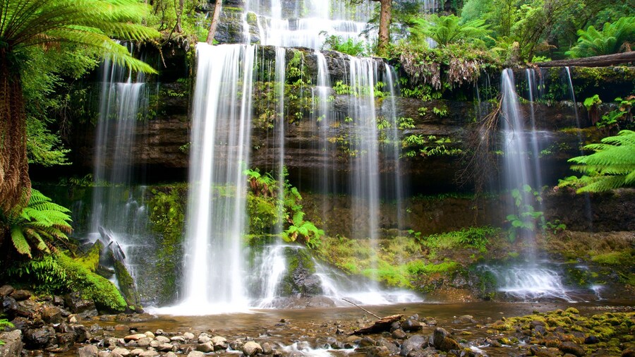 Mt. Field National Park