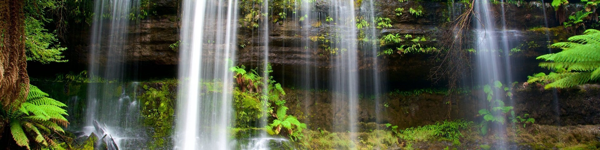 费尔德山国家公园