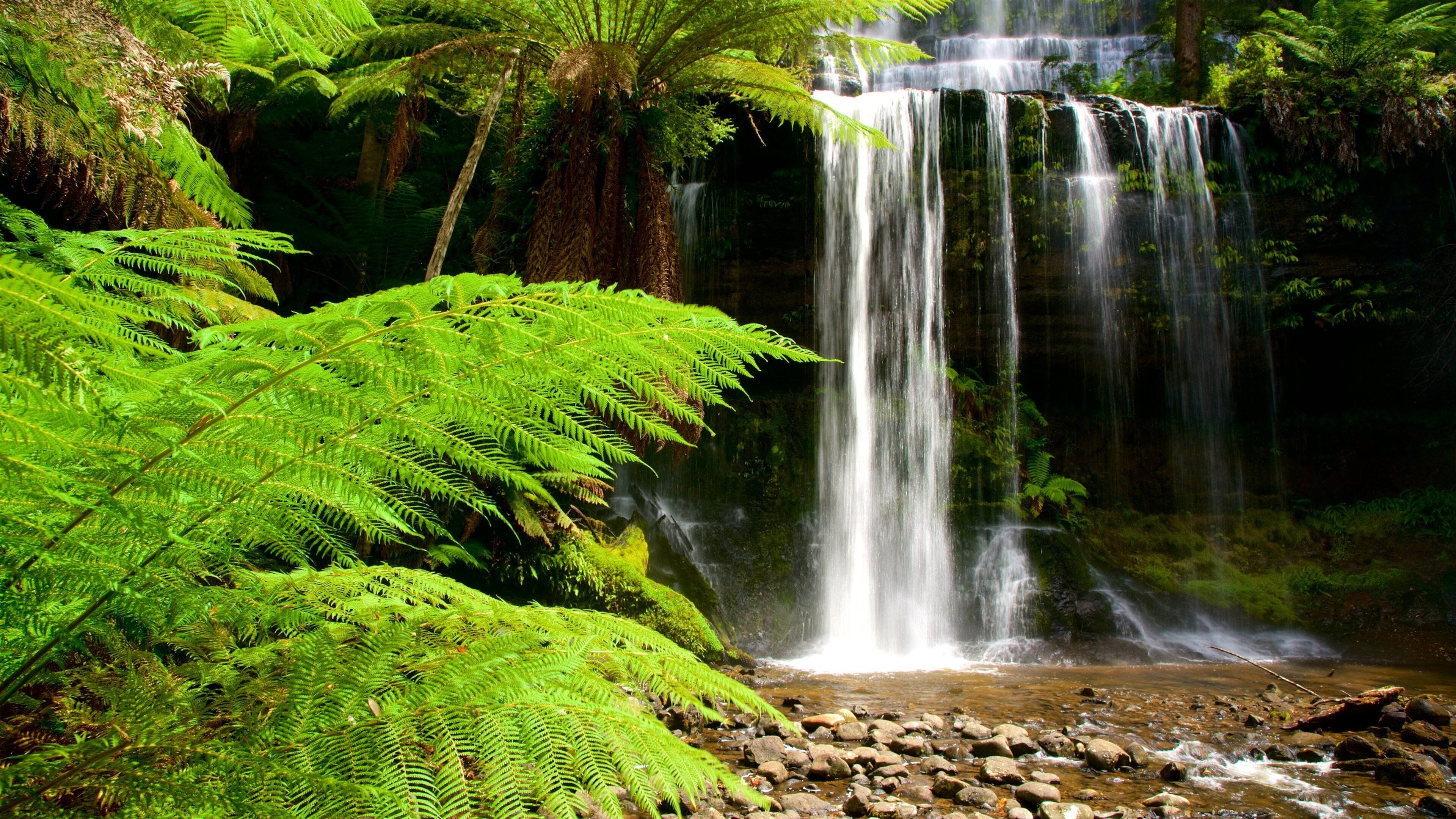 Midlands fasiliteter samt skog og fossefall