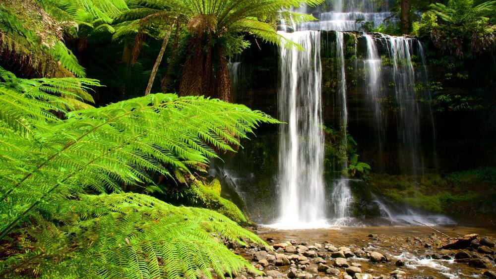 Ein Wasserfall, umgeben von üppigem Grün und Felsen.