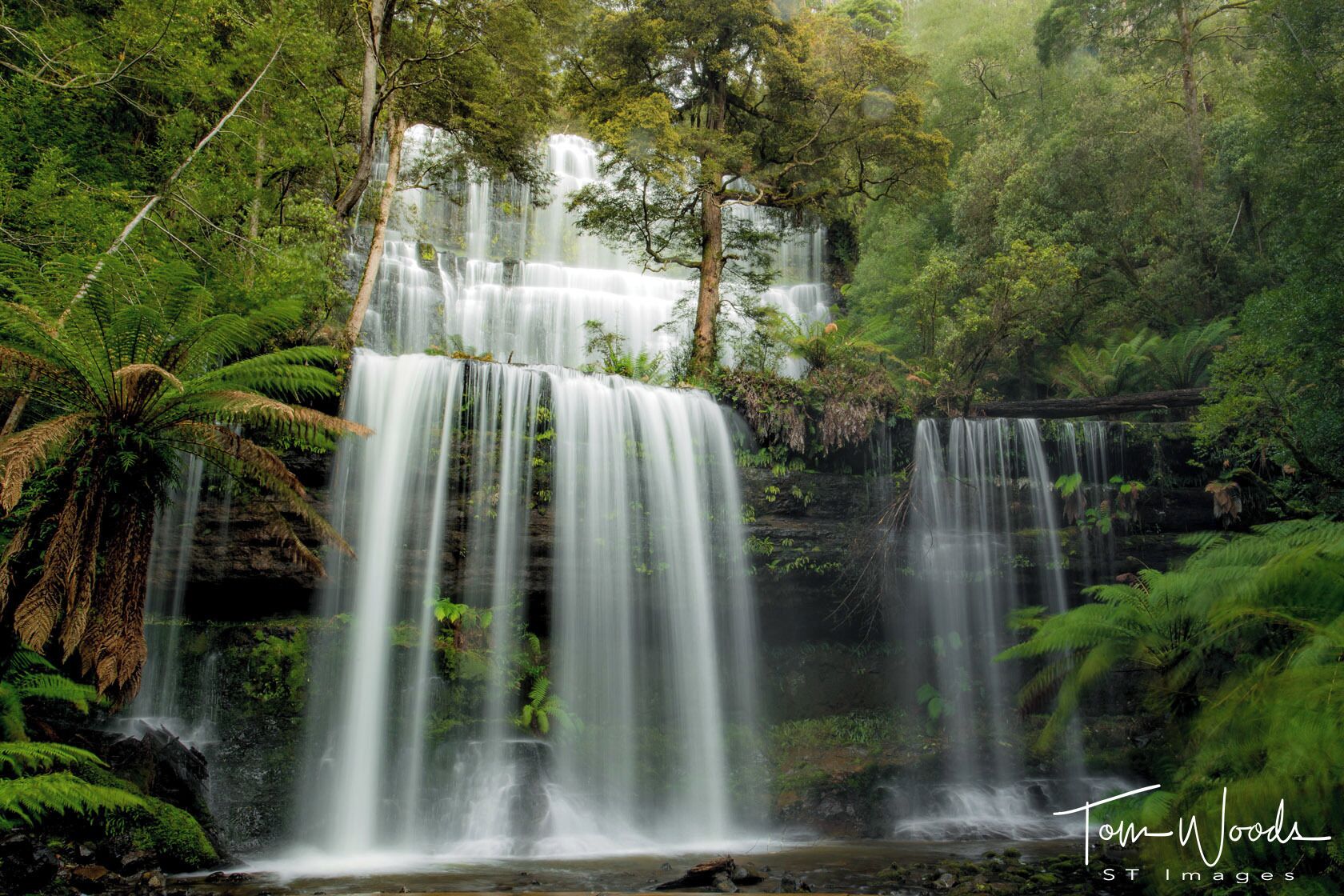 Russell Falls within the Mount Field national park was definitely on our hit list, but nothing could prepare you for the first glimpse of this magnificent waterfall. After a short hike through a lush green rainforest complete with cascading streams, some old growth 80-meter high trees and Pademelons and Quolls bouncing around the forest you come to the mighty Russell Falls. I would have to say the most breathtaking waterfall I have seen so far and I’m sure it will still be in my top five when my travelling days come to an end.
It is a three-tiered cascading falls that is fed by a reasonably narrow stream about 100m above the base.