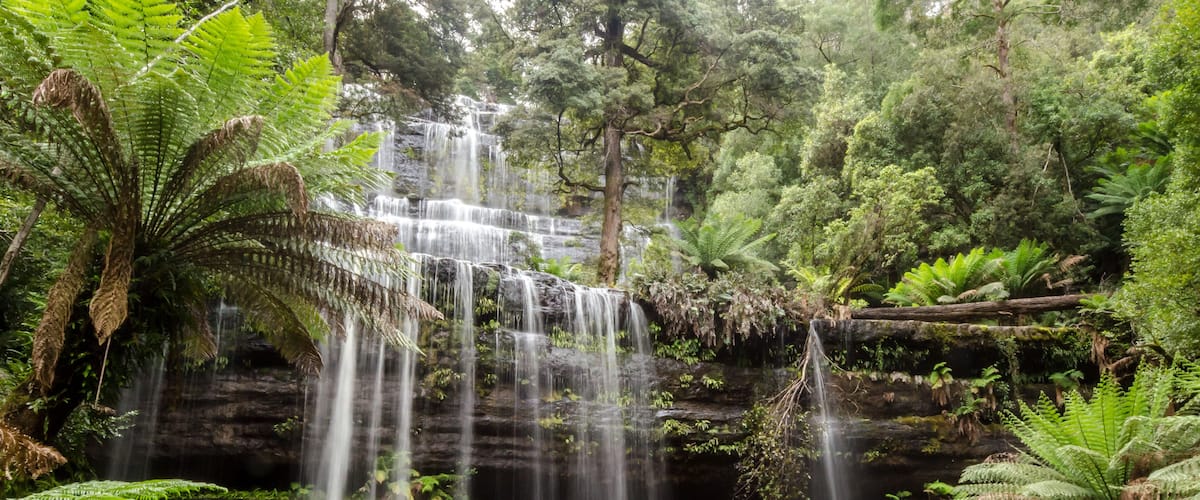 A multi-tiered waterfall surrounded by lush greenery and ferns.