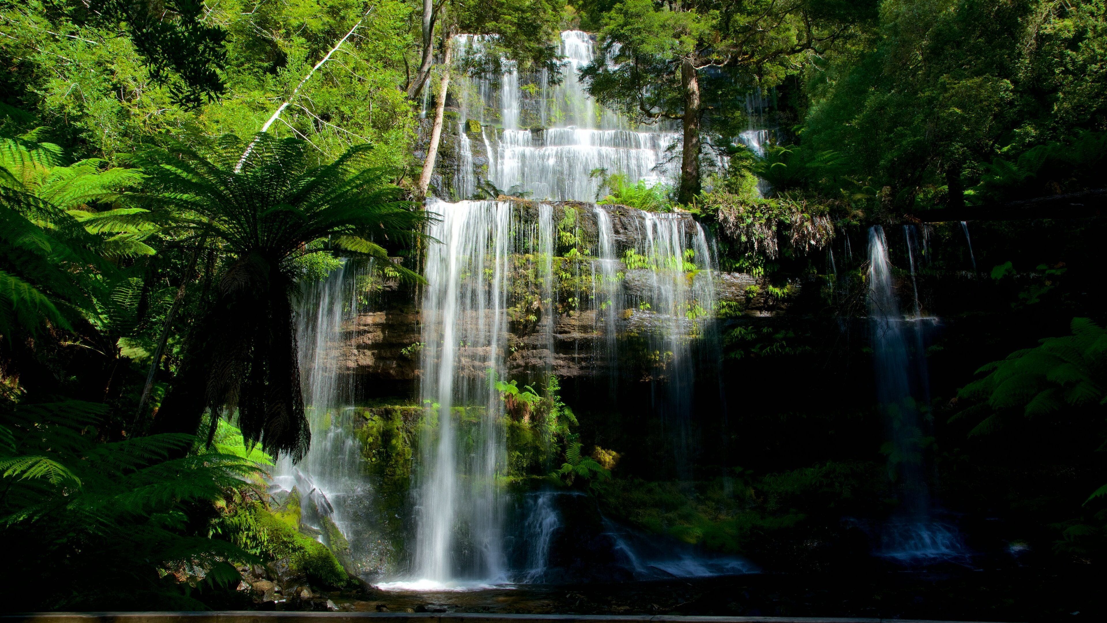 Russell Falls which includes a waterfall and forest scenes