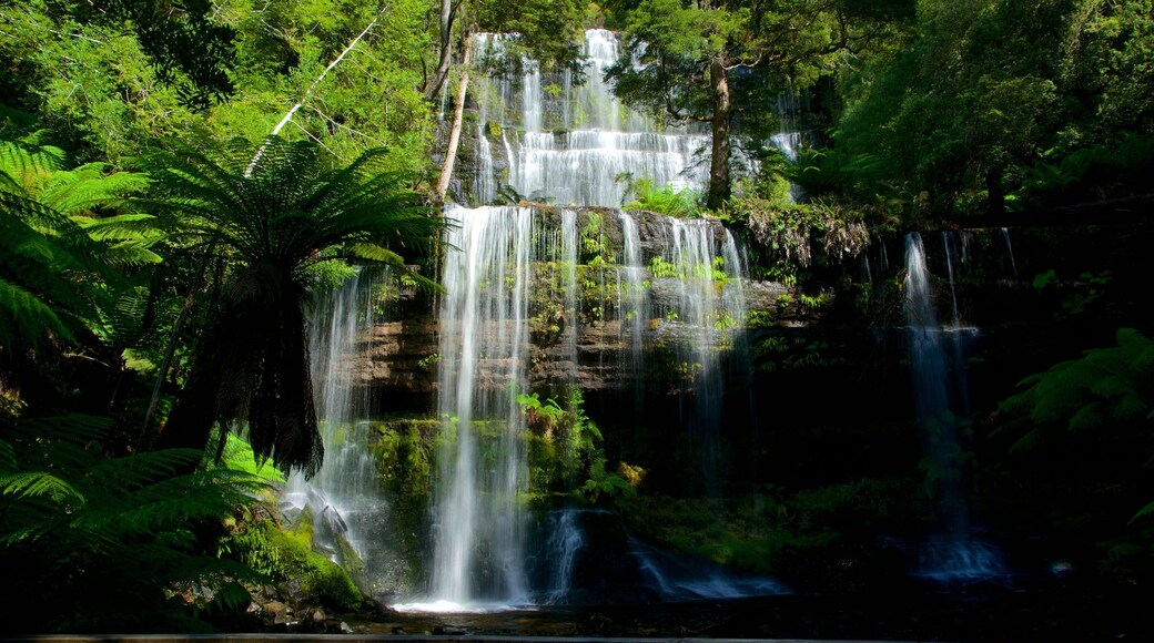 Russell Falls which includes a waterfall and forest scenes
