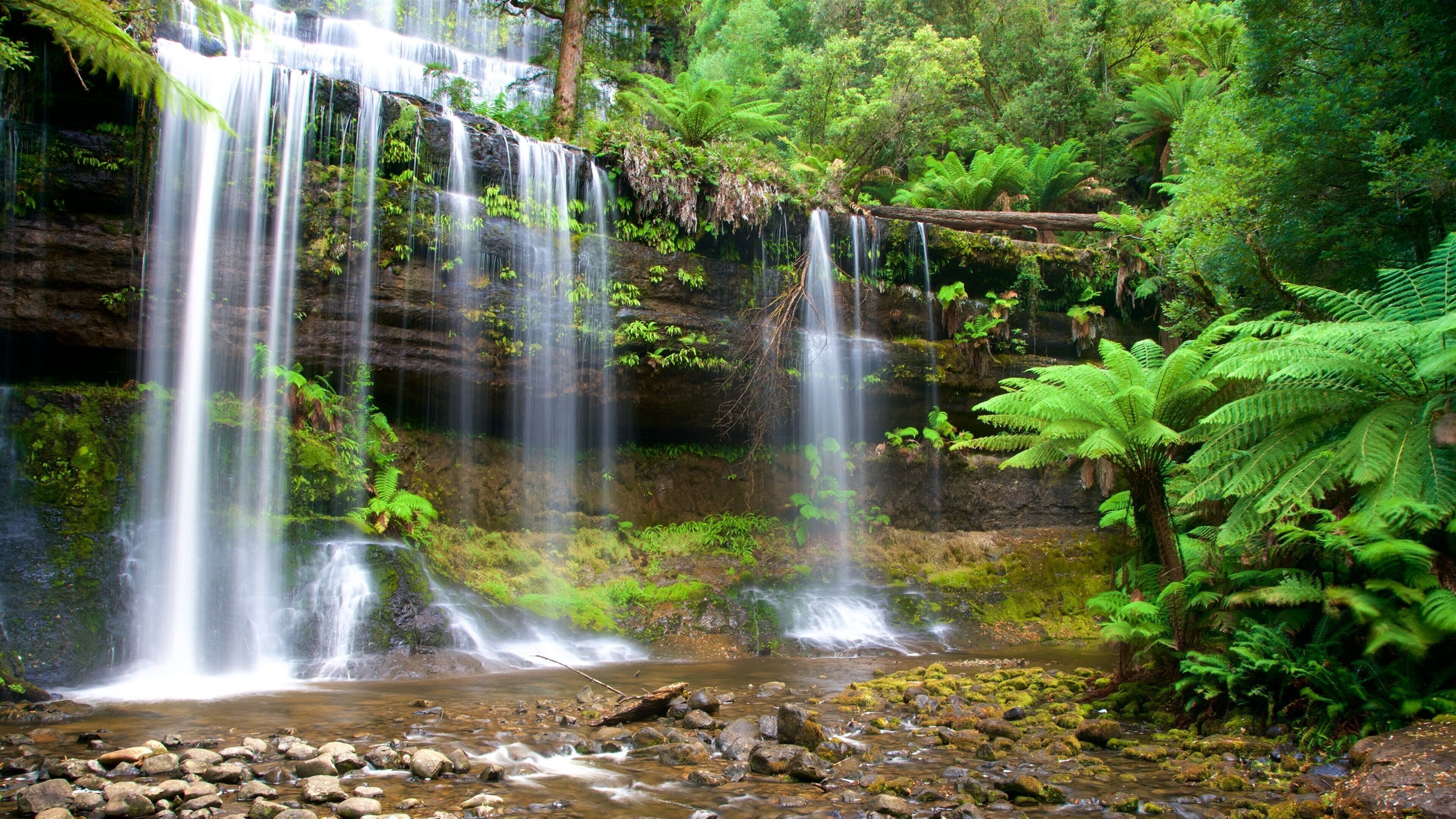 Mt. Field National Park bevat een cascade