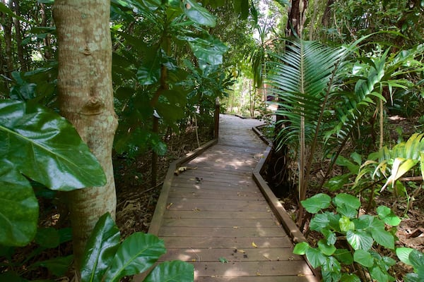 Norfolk Island featuring a park