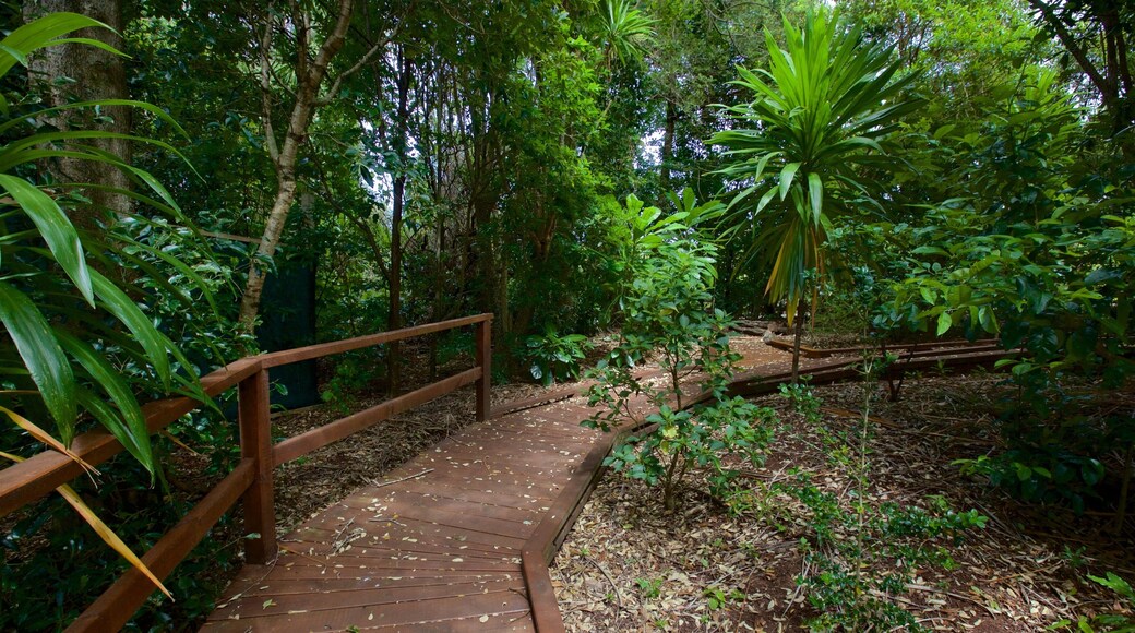 Ilha Norfolk que inclui um jardim e florestas