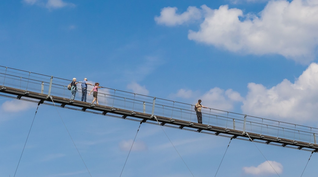 Puente colgante Geierlay