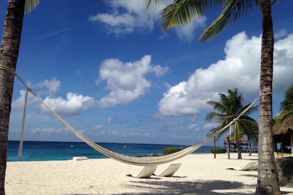 A hammock between palm trees on a sandy beach with the ocean in the background.