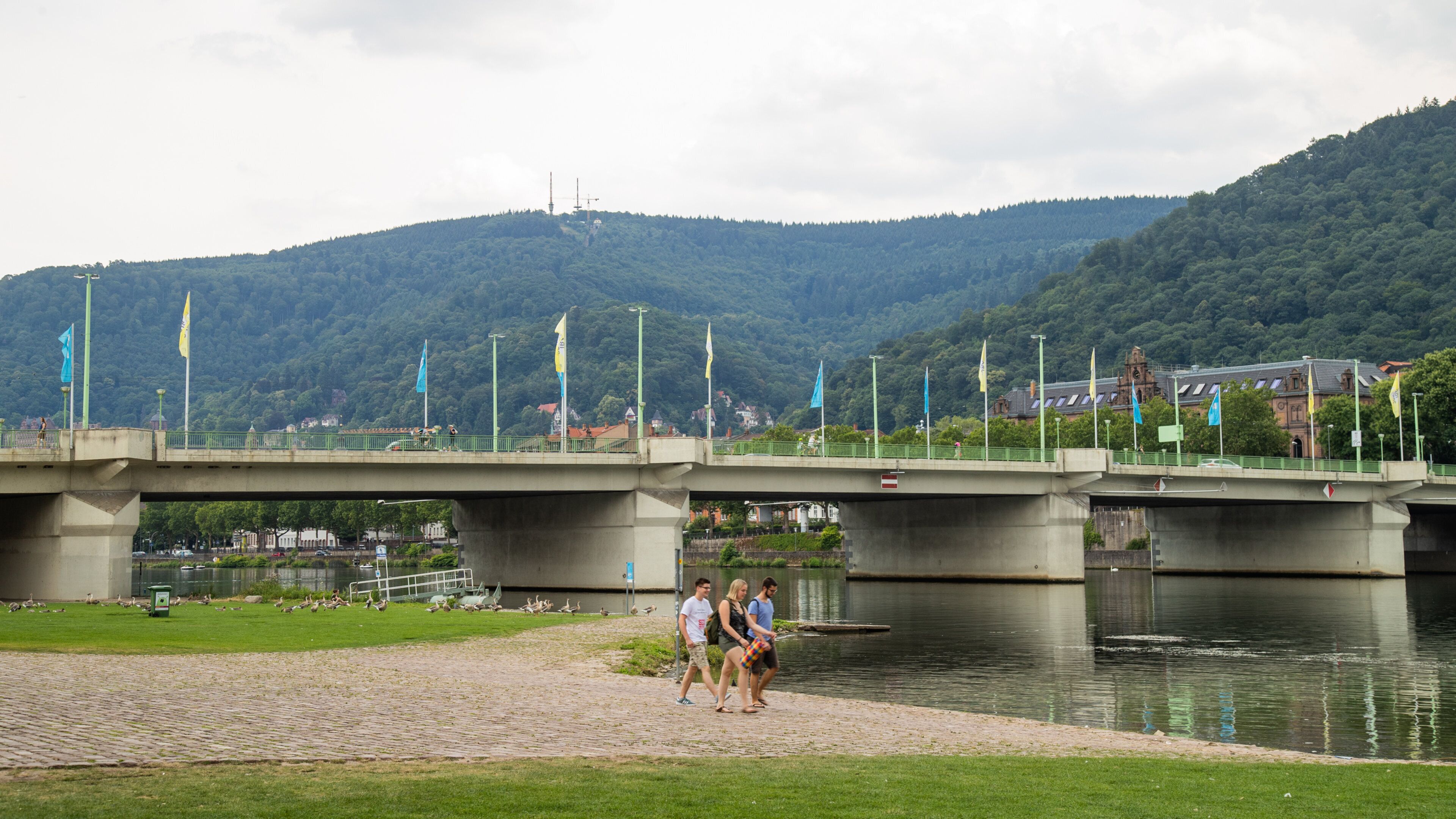 Neckarwiese featuring a river or creek, a bridge and a garden