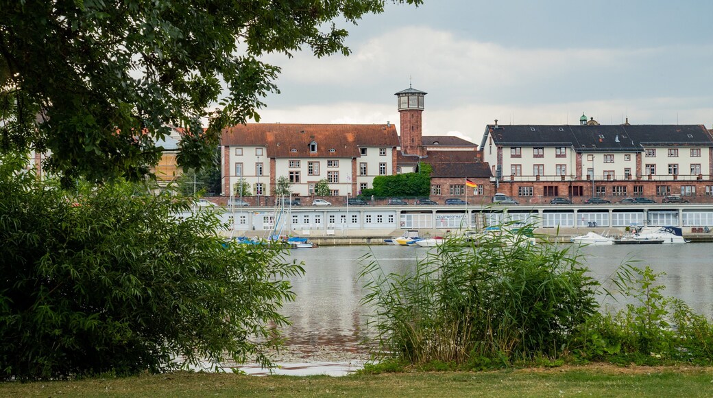 Neckarwiese showing a bay or harbor and a park