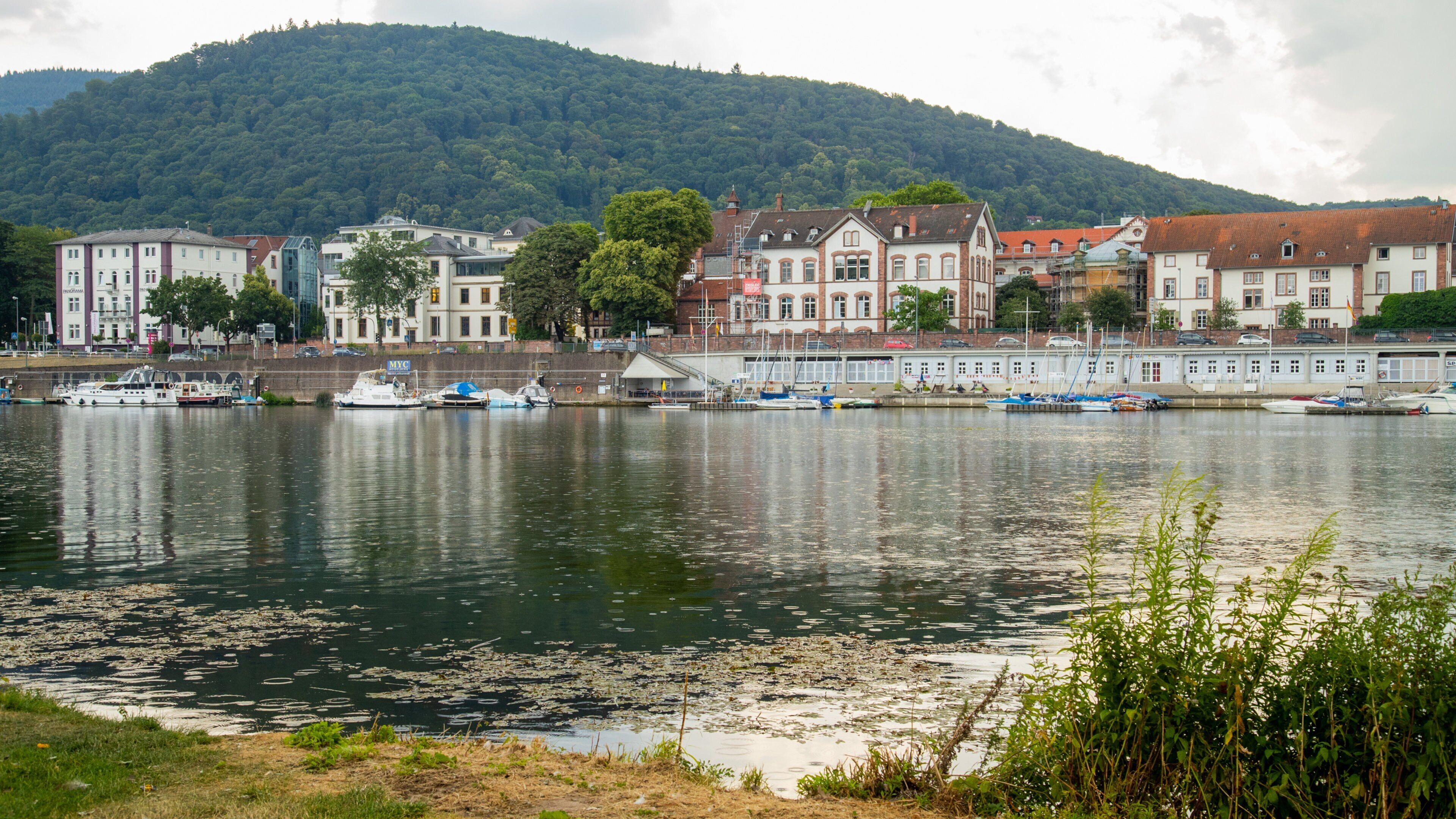 Neckarwiese featuring a bay or harbor