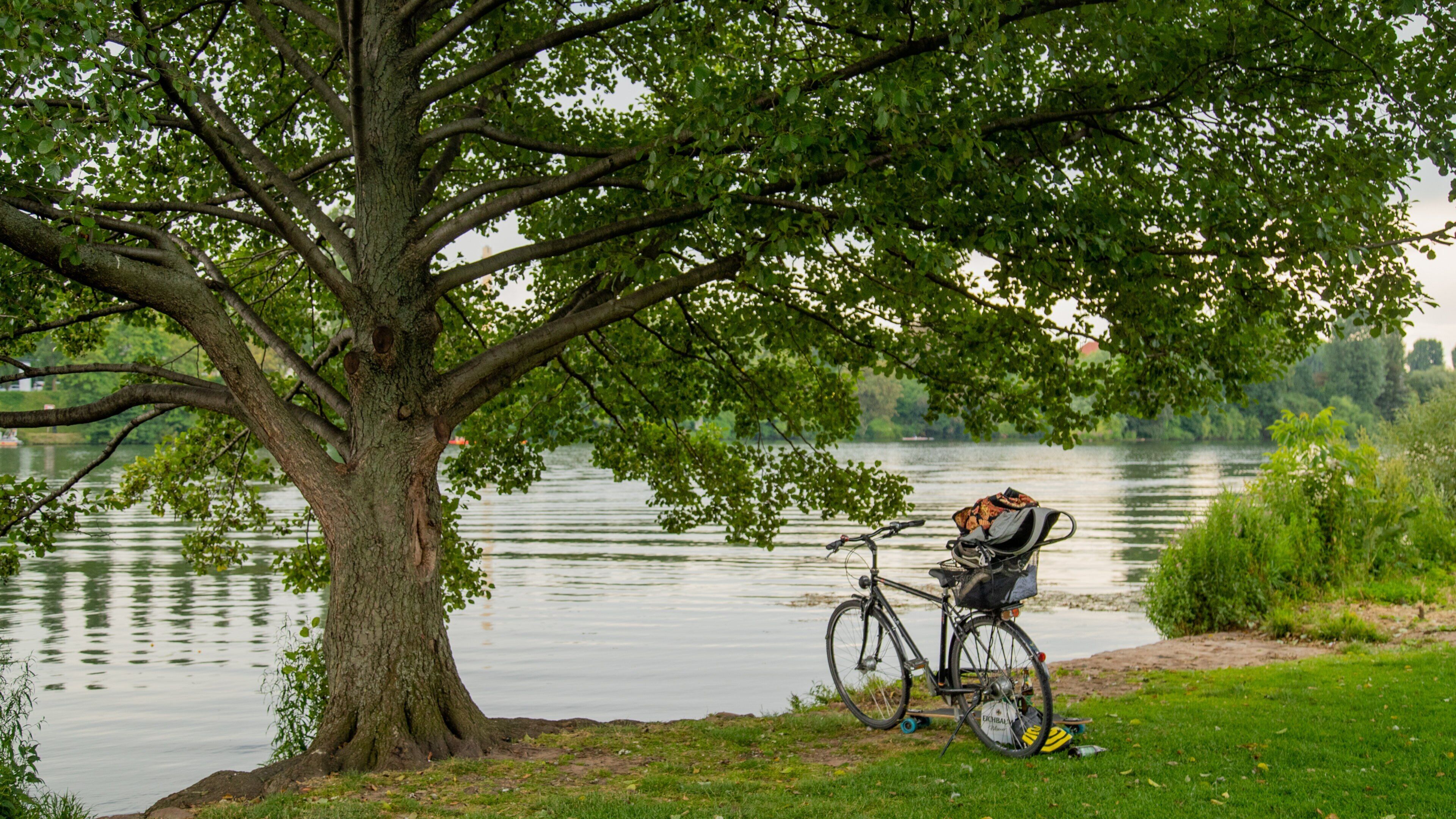 Neckarwiese showing a lake or waterhole and a park