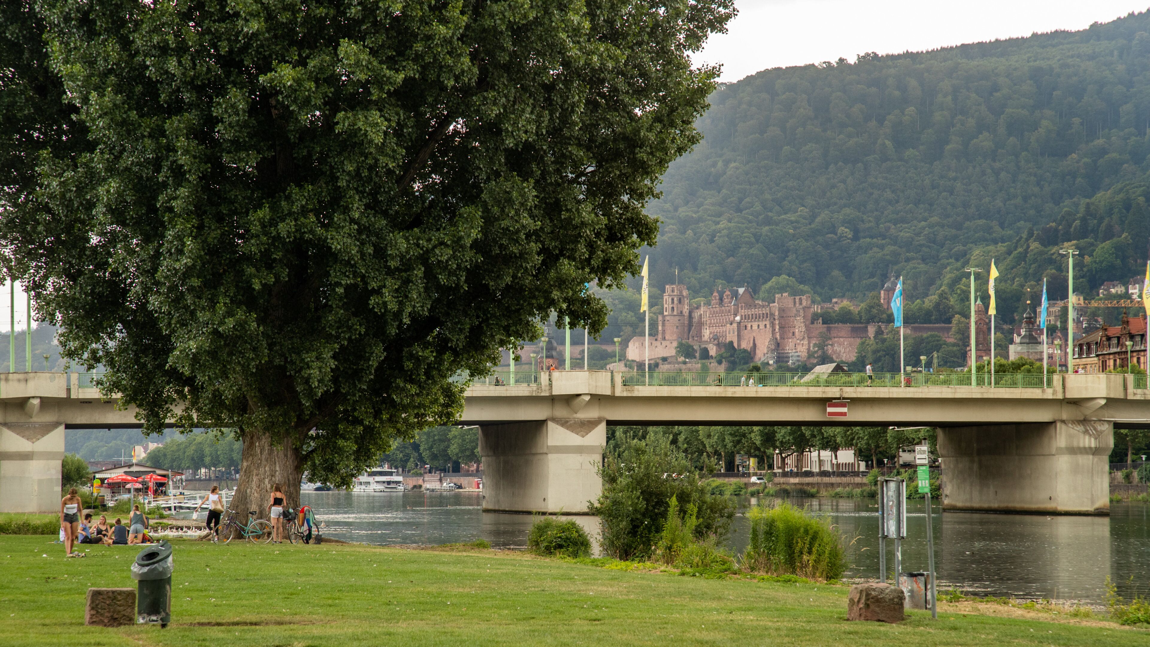 Neckarwiese which includes a river or creek, a bridge and a garden
