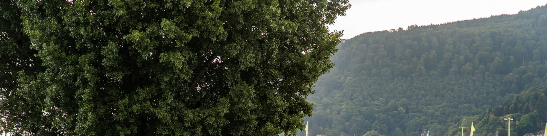Neckarwiese which includes a river or creek, a bridge and a garden