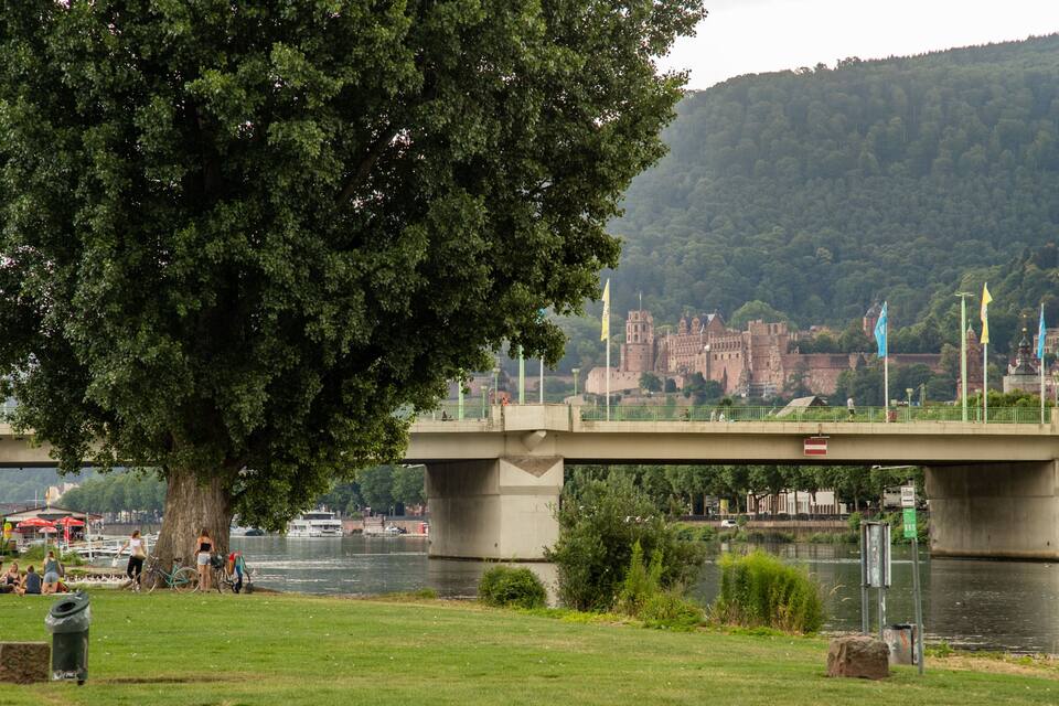 A bridge over a river with a large tree in the foreground, a castle in the background, and flags on the bridge.