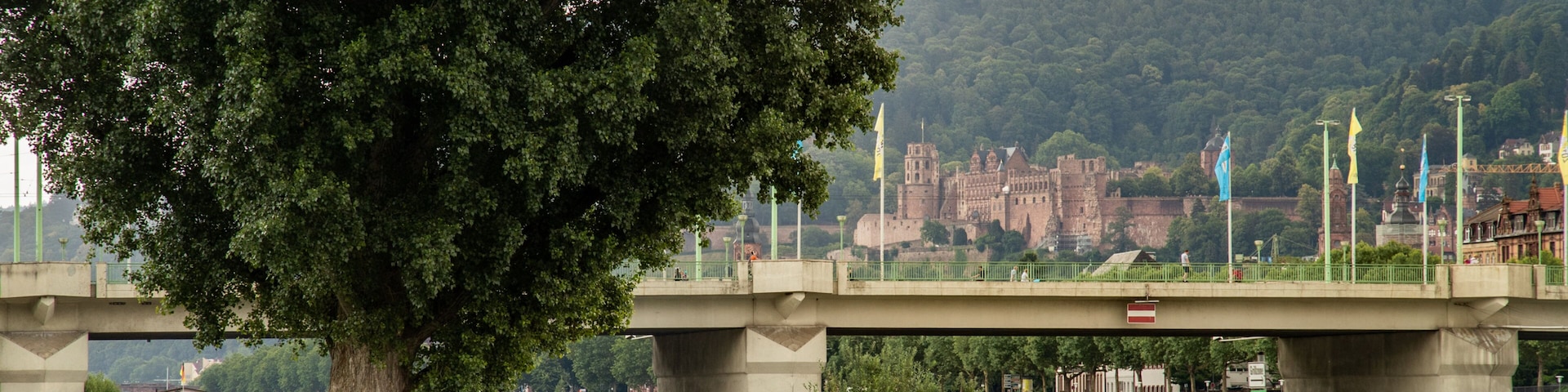 Neckarwiese which includes a river or creek, a bridge and a garden