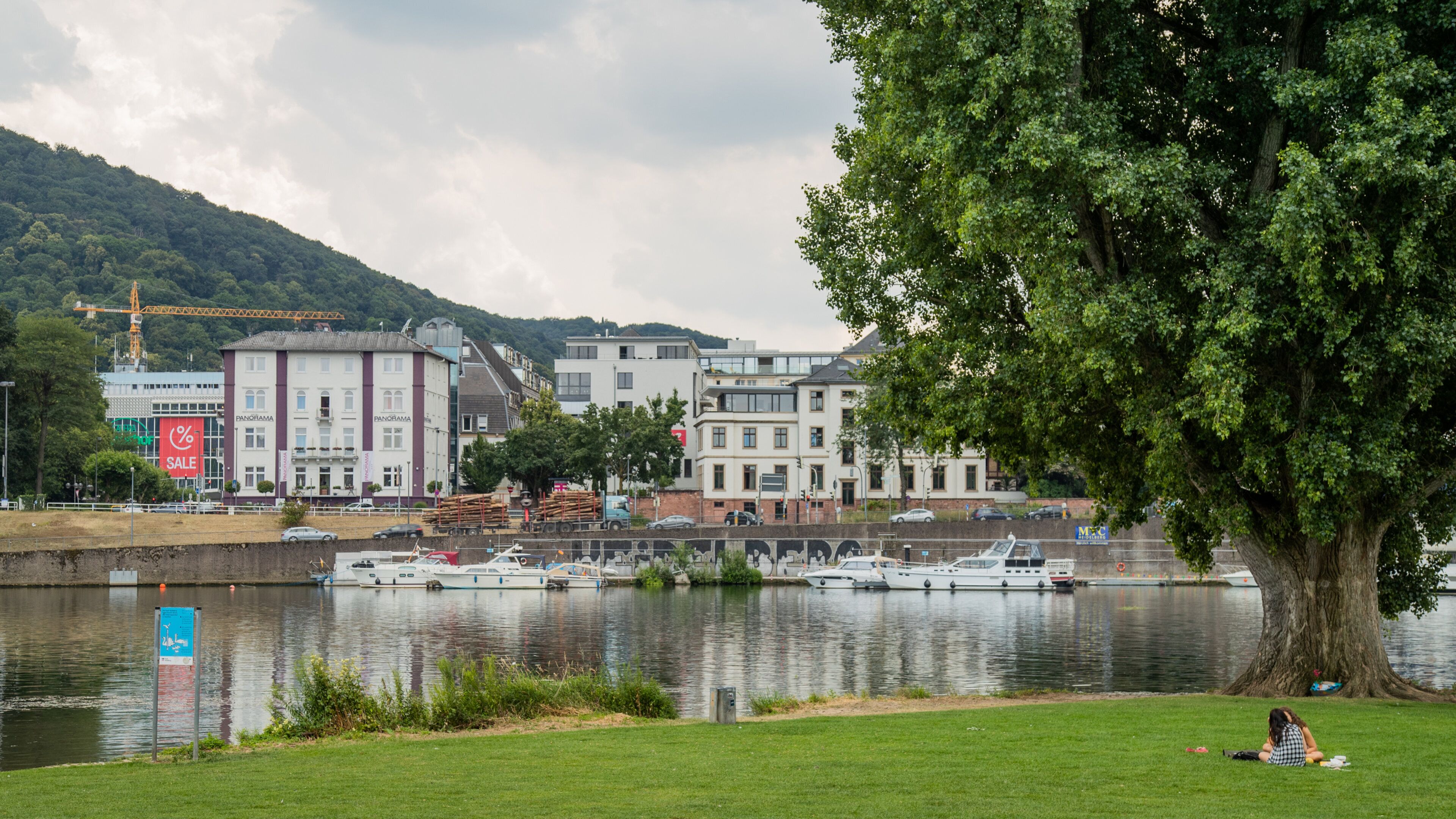 Neckarwiese showing picnicing, a garden and a bay or harbor