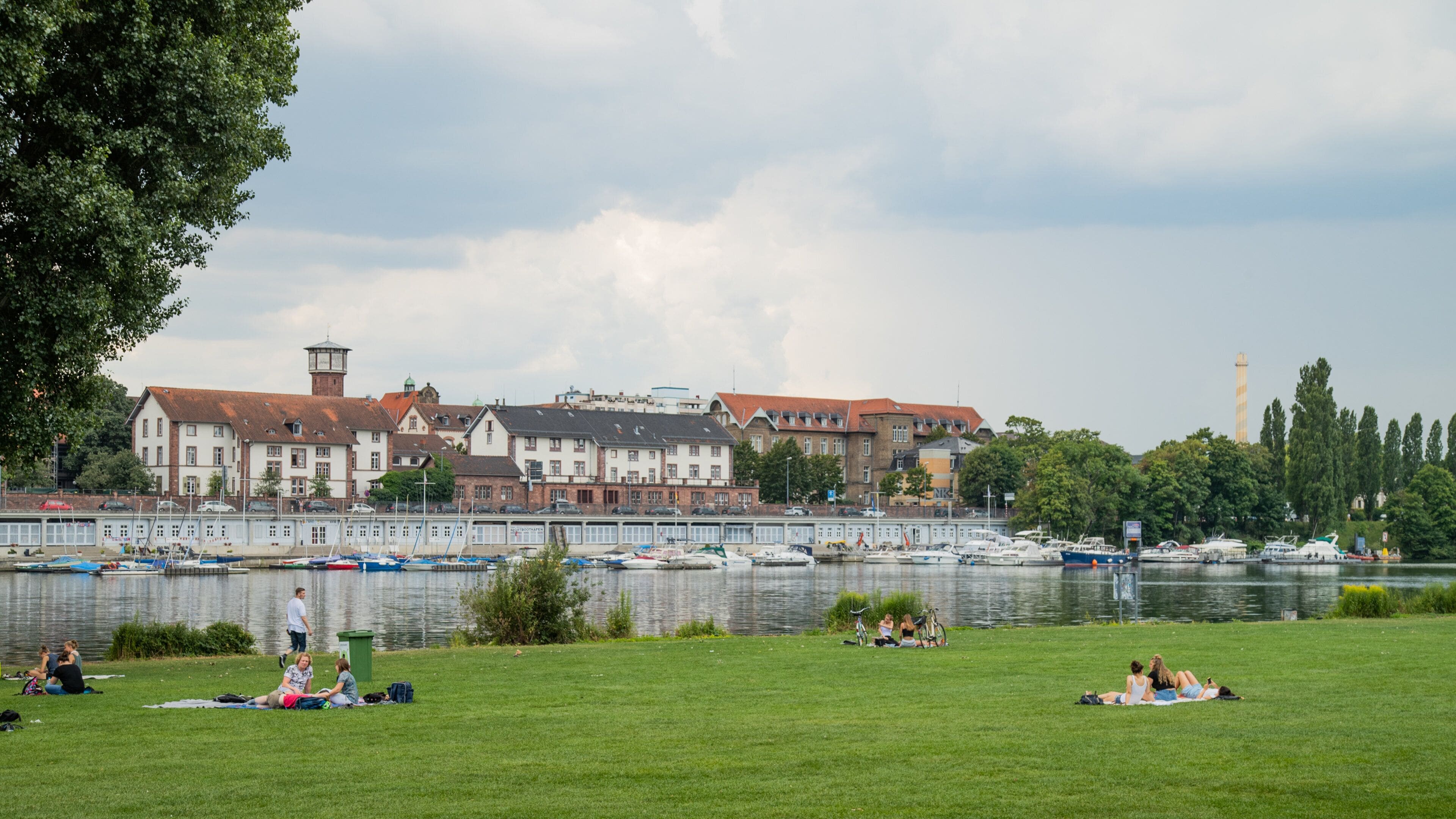 Neckarwiese featuring a river or creek, picnicing and a garden