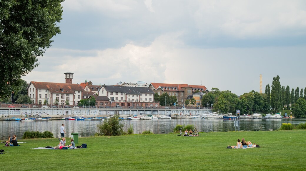 Neckarwiese featuring a river or creek, picnicing and a garden