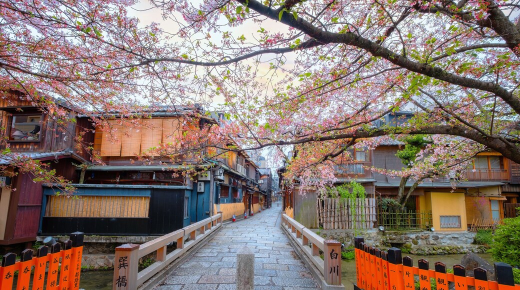 Tatsumi bashi bridge crosses Shirakawa river is the iconic place of Gion district in Kyoto, Japan