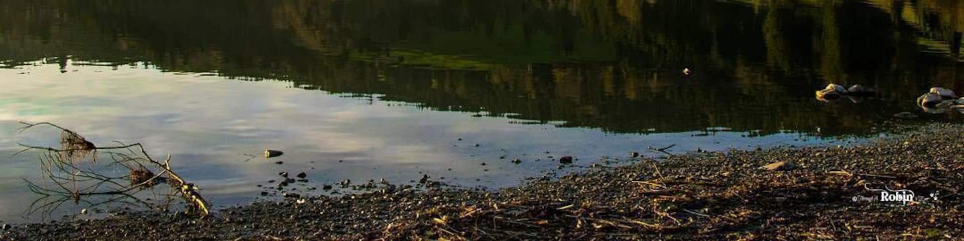 There is a thrill involved in randomly made plans; the kind where you randomly pick a water body around the Bavarian Alps on Google Maps, find out the first train in the morning which can take you there and just put an alarm for 5 hours later before you crash for the night in anticipation of a weekend which would hopefully be worthwhile!! âąâąâąâąâą
The southern realms of Germany offer a plethora of such opportunities for last minute travel plans and such is the abundance of beauty in these alpine landscapes that they hardly ever let you down. I find so much satisfaction getting off a small regional train at the station of some small town and being greeted with towering mountains right across the horizon, capped with fresh snow from the night before. So the next time you are in Germany and all your travel plans for the weekend have been put to waste through one reason or the other, reach out to the friendly, cheerful and ever so beautiful countrysides of Bavarian Alps - trust me they will never disappoint you!! đđđ»