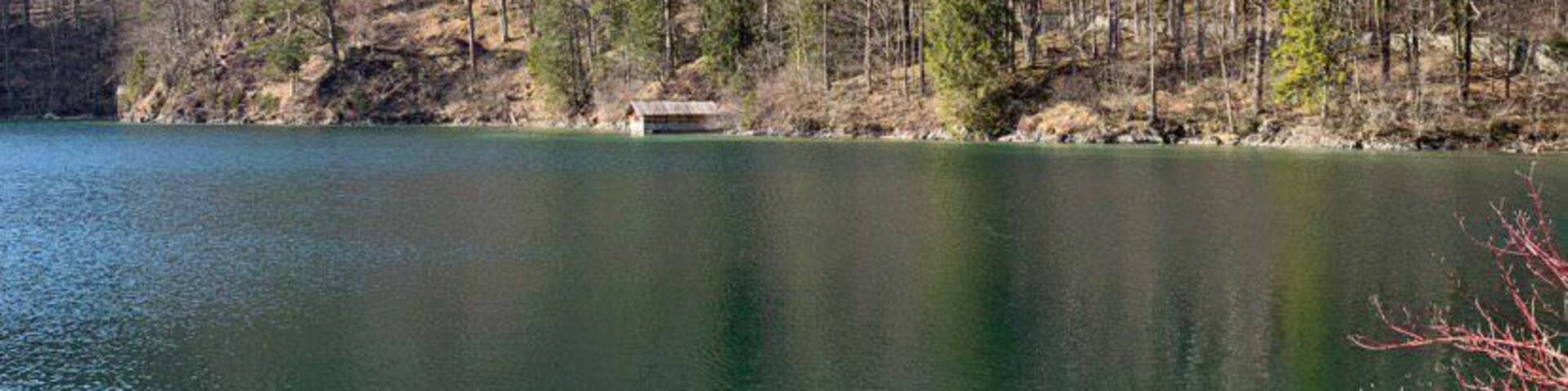 A clear lake with a rocky shore, surrounded by trees and a small cabin.