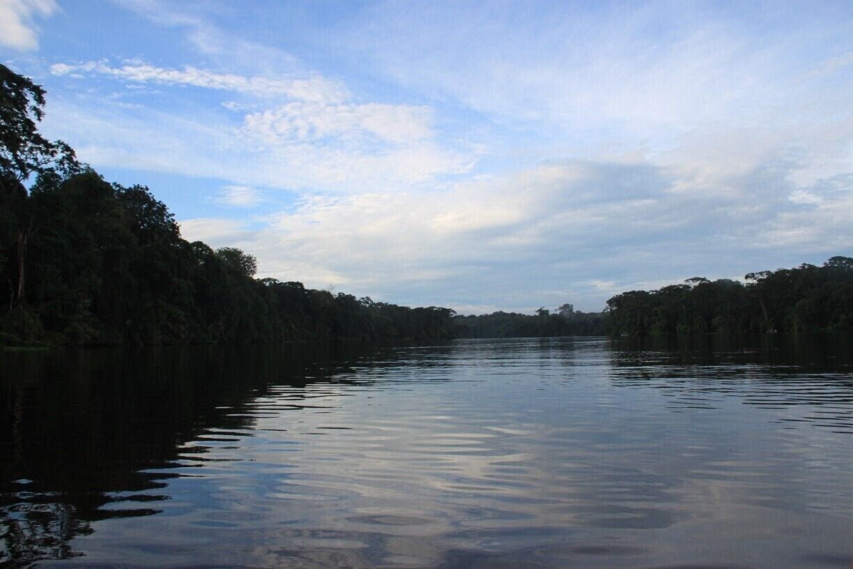 Book a early morning canoe tour (start: 6 - 9am) through the park. There are a lot of animals you can see especially if you have a good guide. 