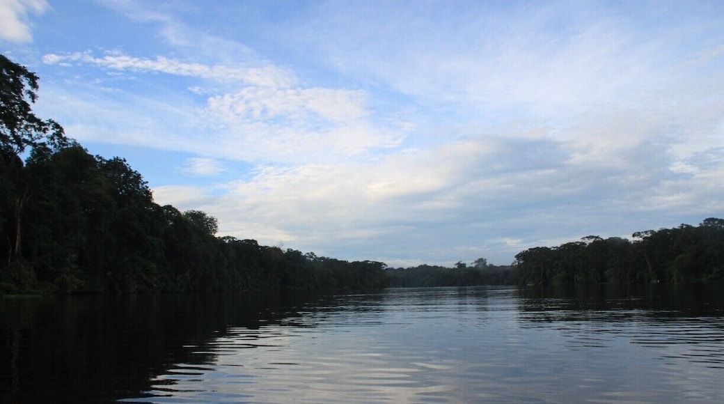 Book a early morning canoe tour (start: 6 - 9am) through the park. There are a lot of animals you can see especially if you have a good guide.