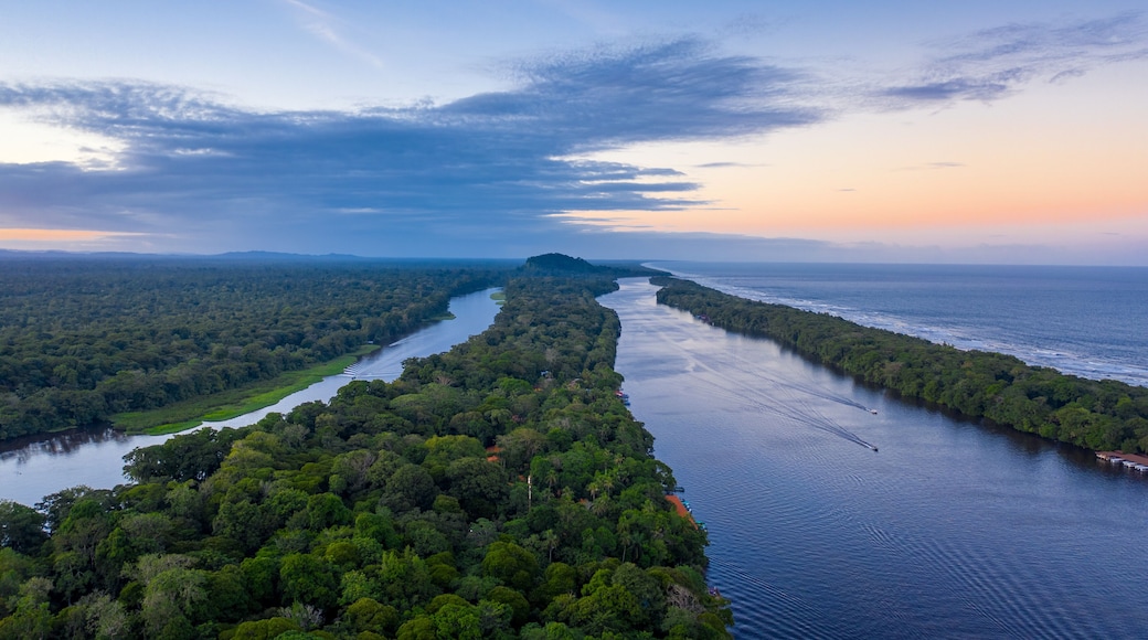 Parc national Tortuguero