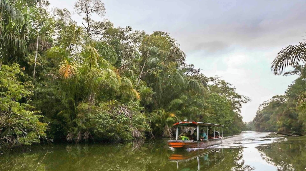 Not your typical "road" shot. A series of canals in Tortuguero National Park are the only roads, albeit made of water, inside the park. This location is only reachable by airplane or boat. Surrounded by rich biological diversity, the best way to experience this area is by kayak or canoe. #OnTheRoad