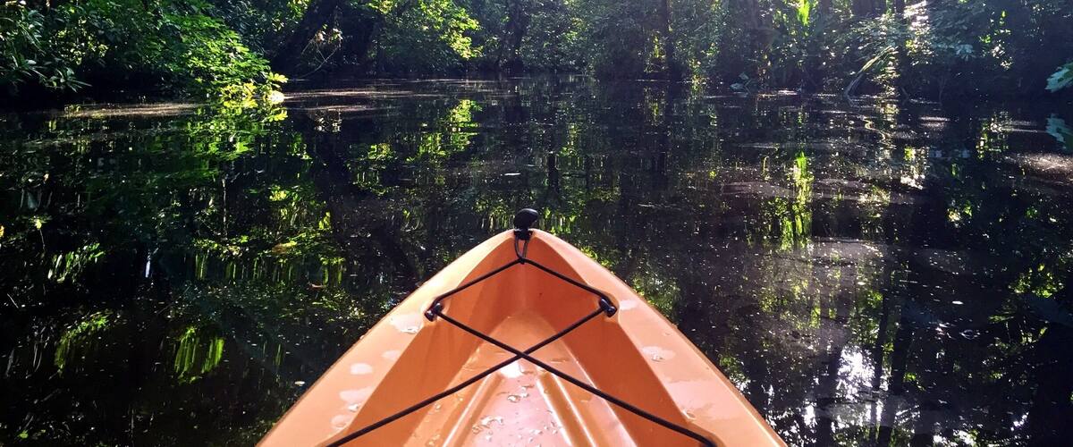 Kayaking on the lagunas of Tortuguero.