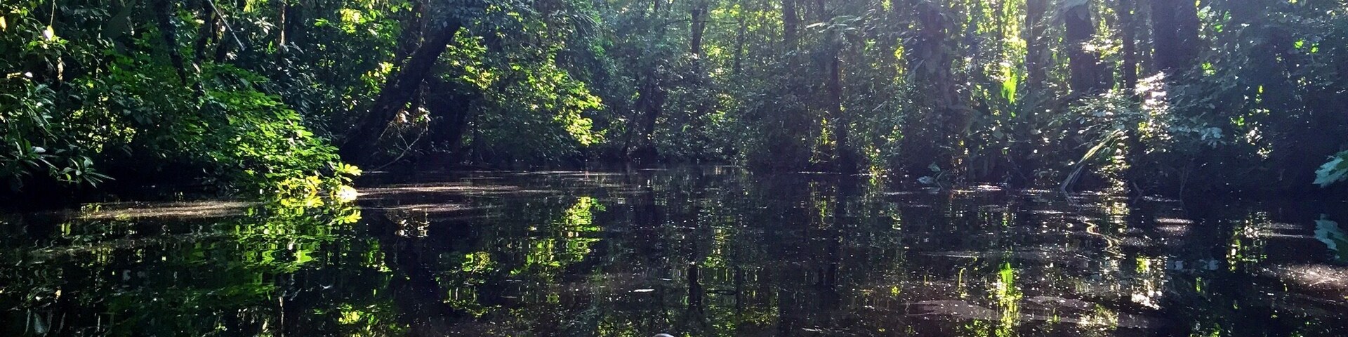 Kayaking on the lagunas of Tortuguero.
