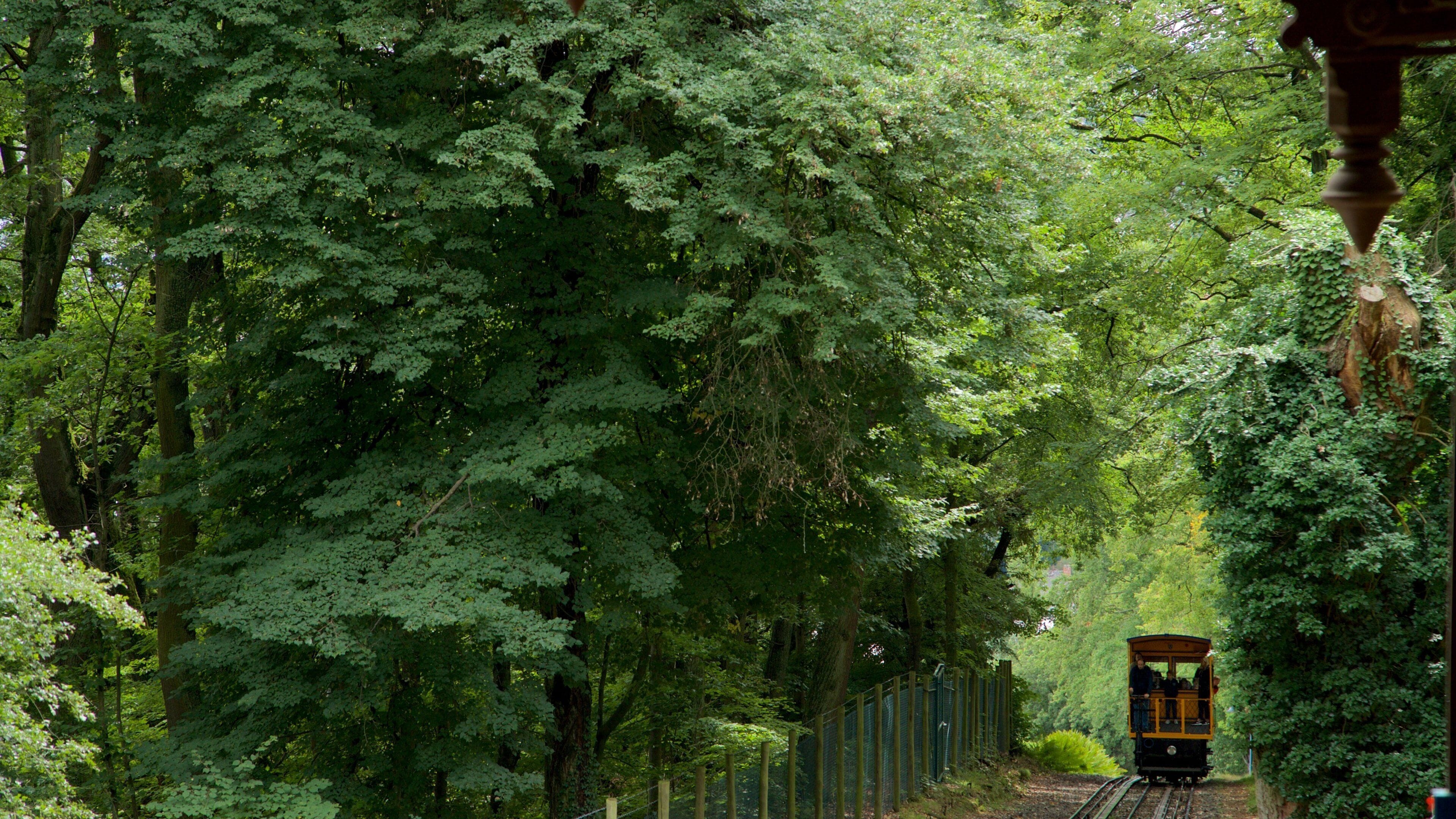 Nerobergbahn which includes railway items and forest scenes