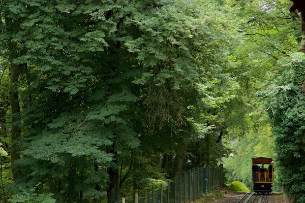 Nerobergbahn featuring forests and railway items