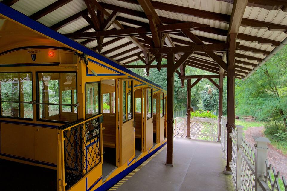 Een gele tram met dak, omringd door groen.