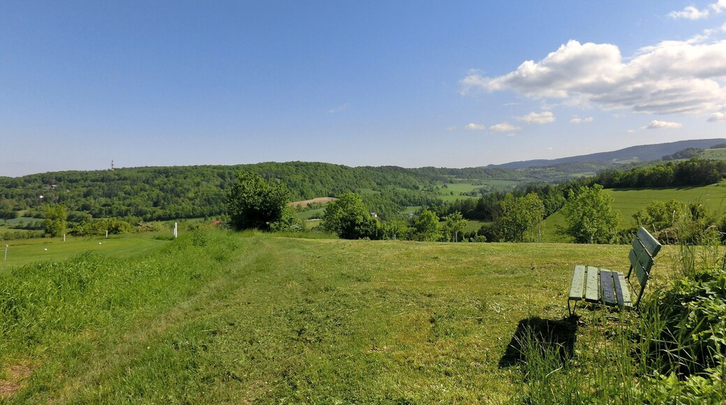 Oschenberg von Süden