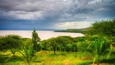 Landscape of Langano lake coastline, Oromia, Ethiopia