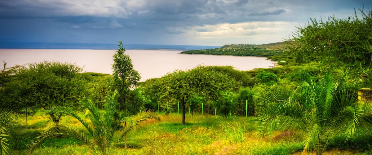 A coastal landscape with a large body of water, dense greenery, and a cloudy sky.